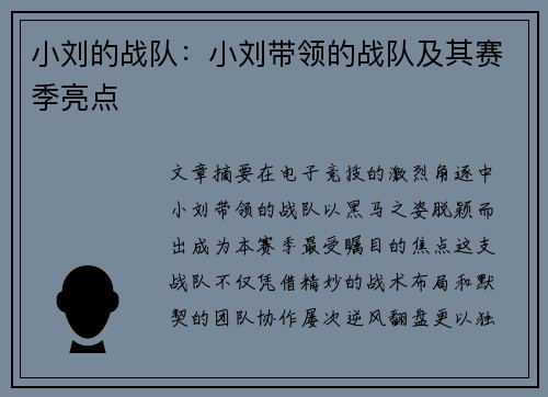 小刘的战队：小刘带领的战队及其赛季亮点
