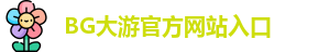 BG大游